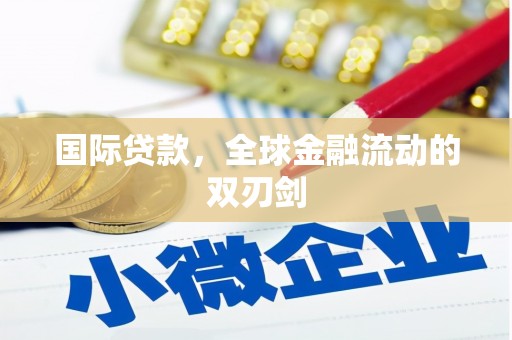 垣曲国际贷款，全球金融流动的双刃剑