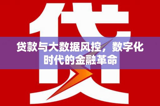 垣曲贷款与大数据风控，数字化时代的金融革命