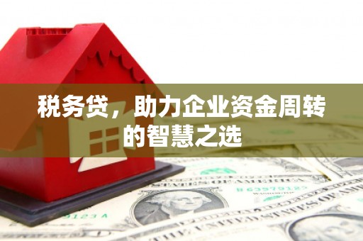 垣曲税务贷，助力企业资金周转的智慧之选