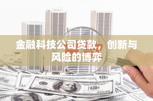 垣曲金融科技公司贷款，创新与风险的博弈
