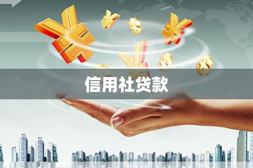 垣曲信用社贷款