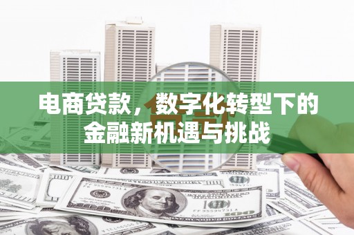 垣曲电商贷款，数字化转型下的金融新机遇与挑战
