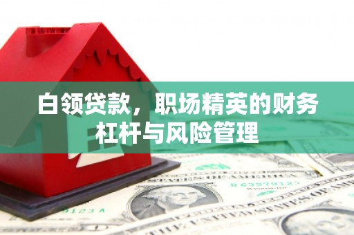 垣曲白领贷款，职场精英的财务杠杆与风险管理