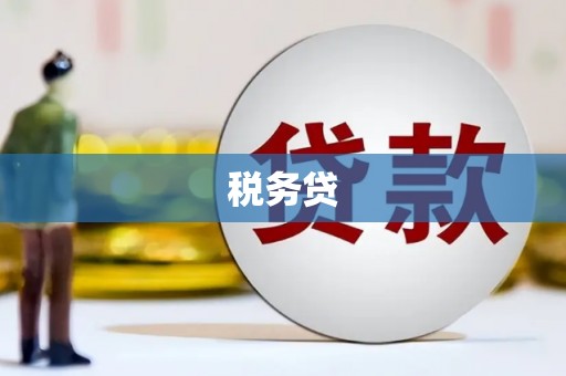 垣曲税务贷