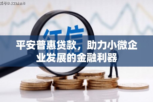 垣曲平安普惠贷款，助力小微企业发展的金融利器