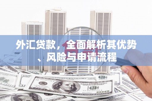 垣曲外汇贷款，全面解析其优势、风险与申请流程