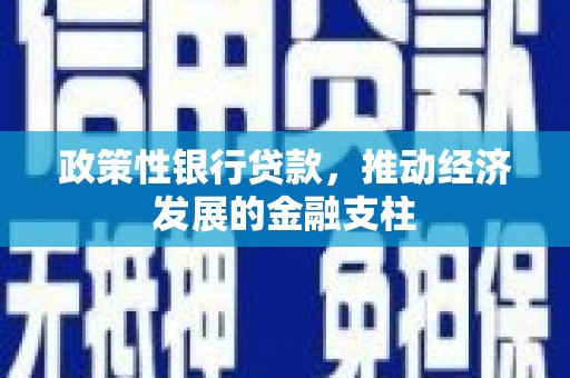 垣曲政策性银行贷款，推动经济发展的金融支柱