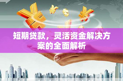 垣曲短期贷款，灵活资金解决方案的全面解析