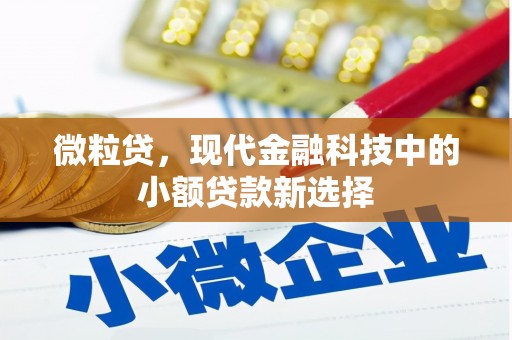垣曲微粒贷，现代金融科技中的小额贷款新选择