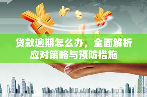 垣曲贷款逾期怎么办，全面解析应对策略与预防措施
