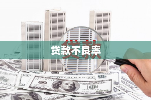 垣曲贷款不良率