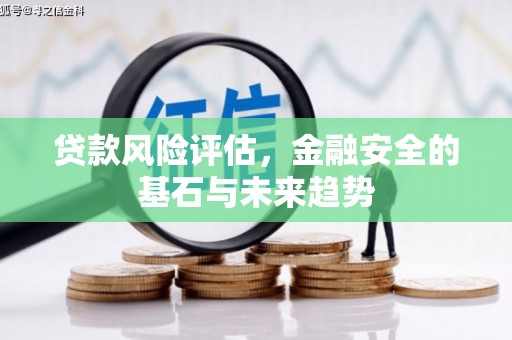 垣曲贷款风险评估，金融安全的基石与未来趋势