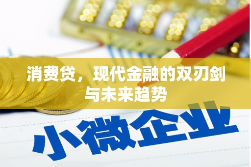 垣曲消费贷，现代金融的双刃剑与未来趋势