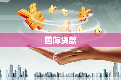 垣曲国际贷款