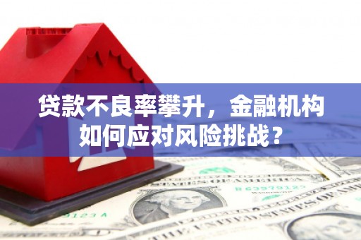 垣曲贷款不良率攀升，金融机构如何应对风险挑战？