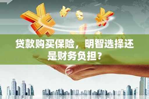 垣曲贷款购买保险，明智选择还是财务负担？