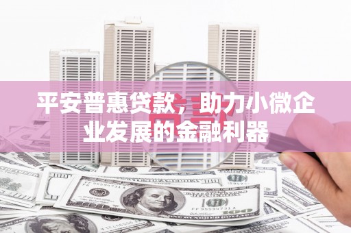 垣曲平安普惠贷款，助力小微企业发展的金融利器