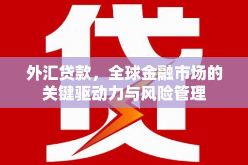 垣曲外汇贷款，全球金融市场的关键驱动力与风险管理