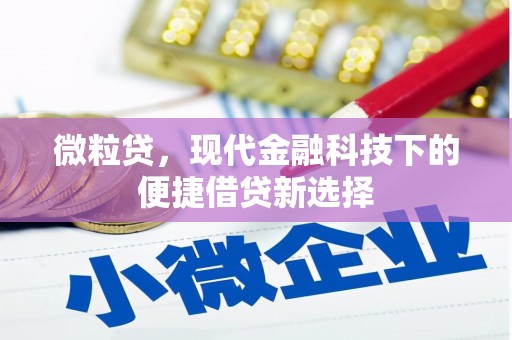 垣曲微粒贷，现代金融科技下的便捷借贷新选择