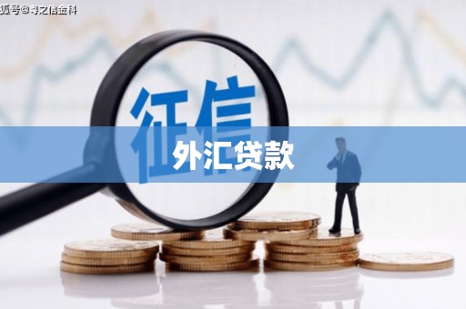垣曲外汇贷款