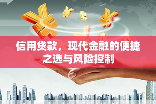 垣曲信用贷款，现代金融的便捷之选与风险控制