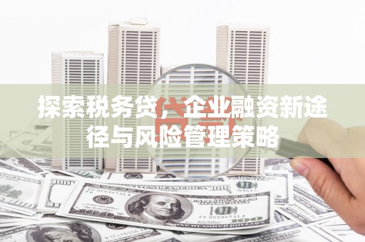 垣曲探索税务贷，企业融资新途径与风险管理策略