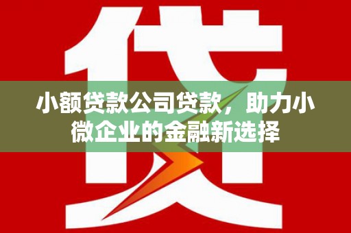 垣曲小额贷款公司贷款，助力小微企业的金融新选择