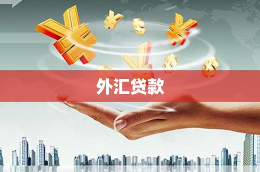 垣曲外汇贷款