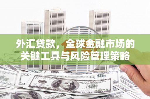 垣曲外汇贷款，全球金融市场的关键工具与风险管理策略