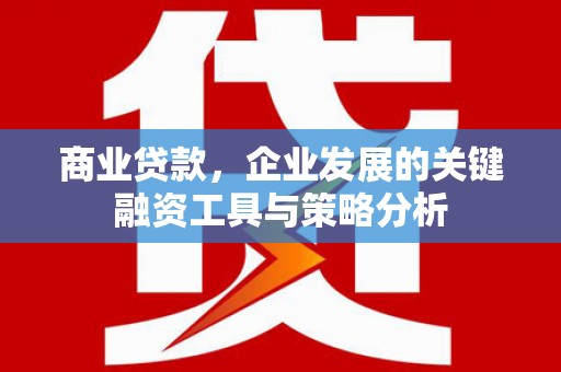 垣曲商业贷款，企业发展的关键融资工具与策略分析