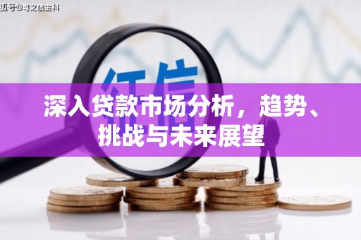 垣曲深入贷款市场分析，趋势、挑战与未来展望