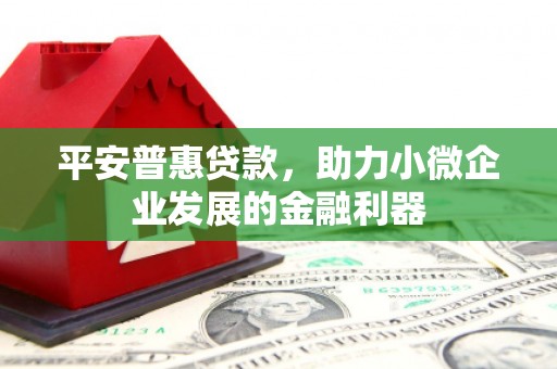 垣曲平安普惠贷款，助力小微企业发展的金融利器