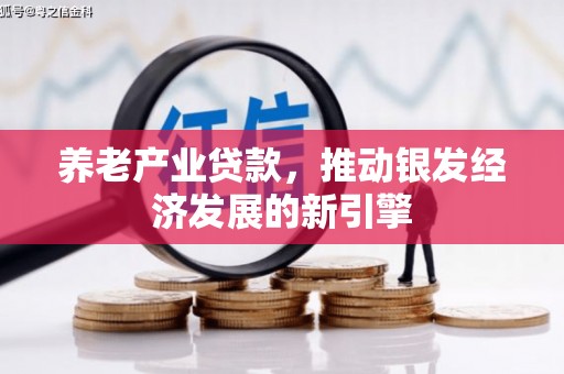 垣曲养老产业贷款，推动银发经济发展的新引擎