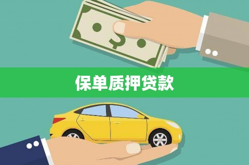垣曲保单质押贷款
