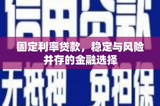垣曲固定利率贷款，稳定与风险并存的金融选择