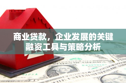 垣曲商业贷款，企业发展的关键融资工具与策略分析