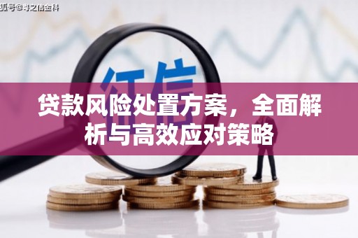 垣曲贷款风险处置方案，全面解析与高效应对策略