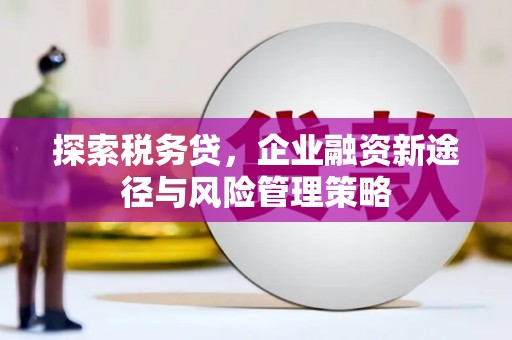 垣曲探索税务贷，企业融资新途径与风险管理策略