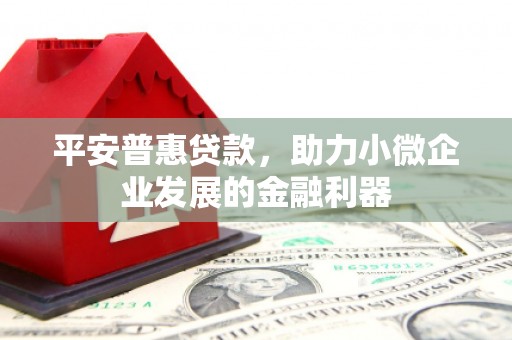 垣曲平安普惠贷款，助力小微企业发展的金融利器