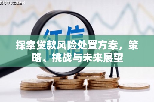 垣曲探索贷款风险处置方案，策略、挑战与未来展望