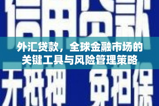 垣曲外汇贷款，全球金融市场的关键工具与风险管理策略