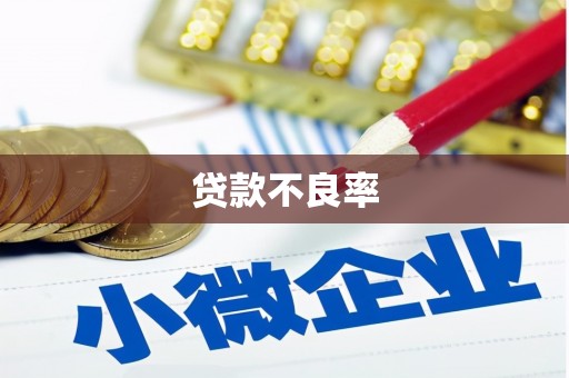 垣曲贷款不良率