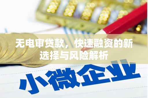 垣曲无电审贷款，快速融资的新选择与风险解析