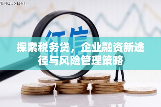 垣曲探索税务贷，企业融资新途径与风险管理策略