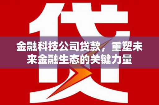 垣曲金融科技公司贷款，重塑未来金融生态的关键力量