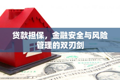 垣曲贷款担保，金融安全与风险管理的双刃剑