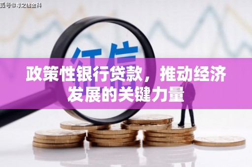 垣曲政策性银行贷款，推动经济发展的关键力量