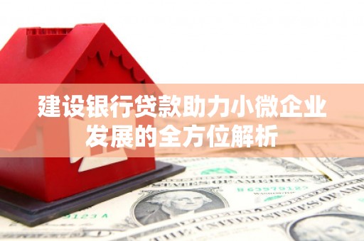 垣曲建设银行贷款助力小微企业发展的全方位解析