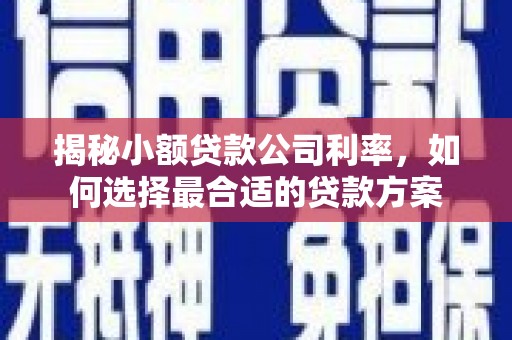 垣曲揭秘小额贷款公司利率，如何选择最合适的贷款方案