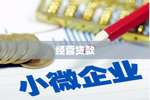 垣曲经营贷款